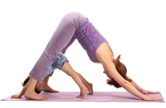 YOGA ADVOCATE JUDIT TOROK